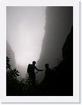 SOMBRAS EN LA NIEBLA-web * 336 x 448 * (41KB)